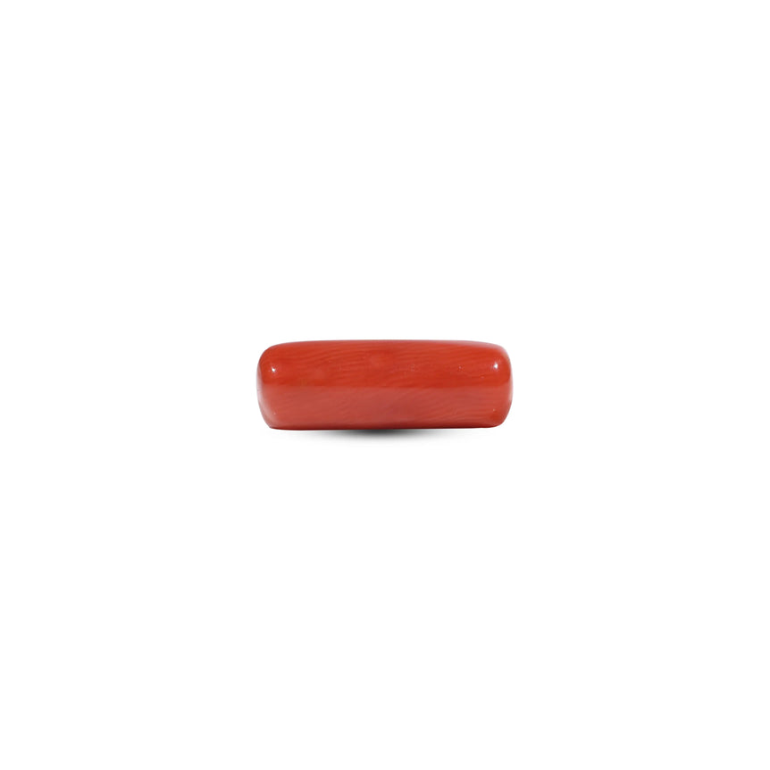 Red Coral - 6 Carat