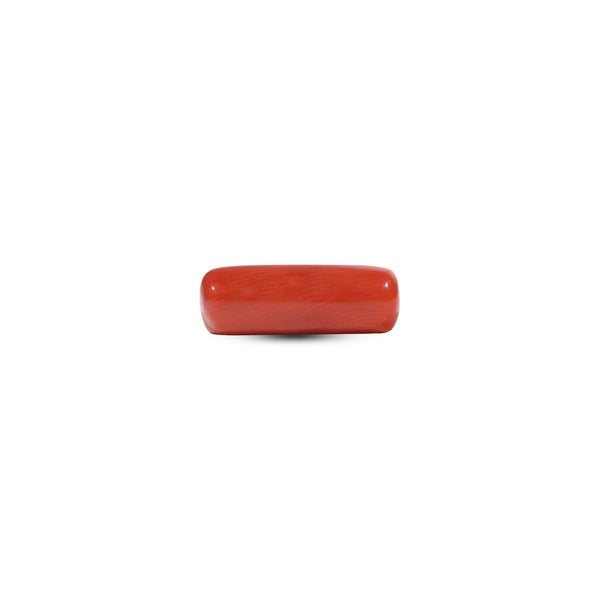 Red Coral - 6 Carat