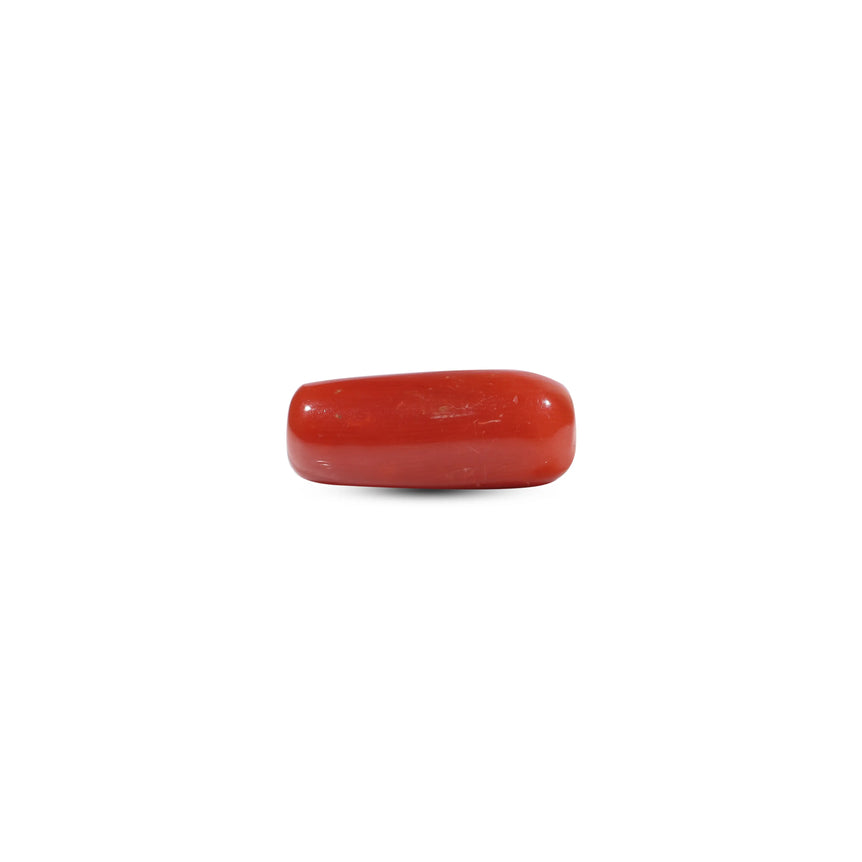 Red Coral - 7.05 Carat - Pramogh