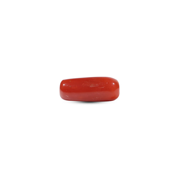 Red Coral - 7.05 Carat - Pramogh