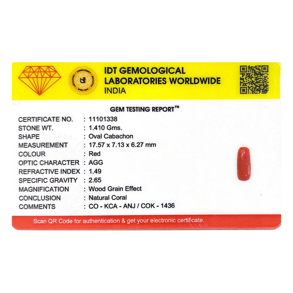 Red Coral - 7.05 Carat