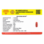 Red Coral - 7.05 Carat