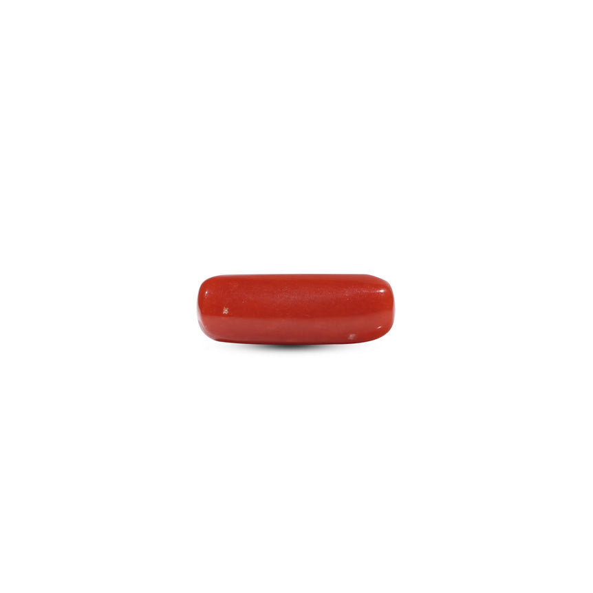 Red Coral - 6.3 Carat