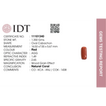 Red Coral - 6.75 Carat