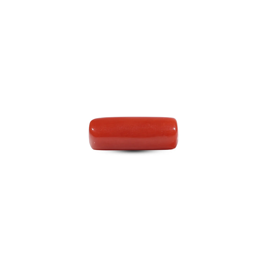 Red Coral - 7.2 Carat - Pramogh