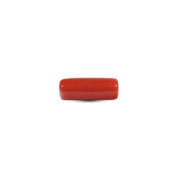 Red Coral - 7.2 Carat - Pramogh