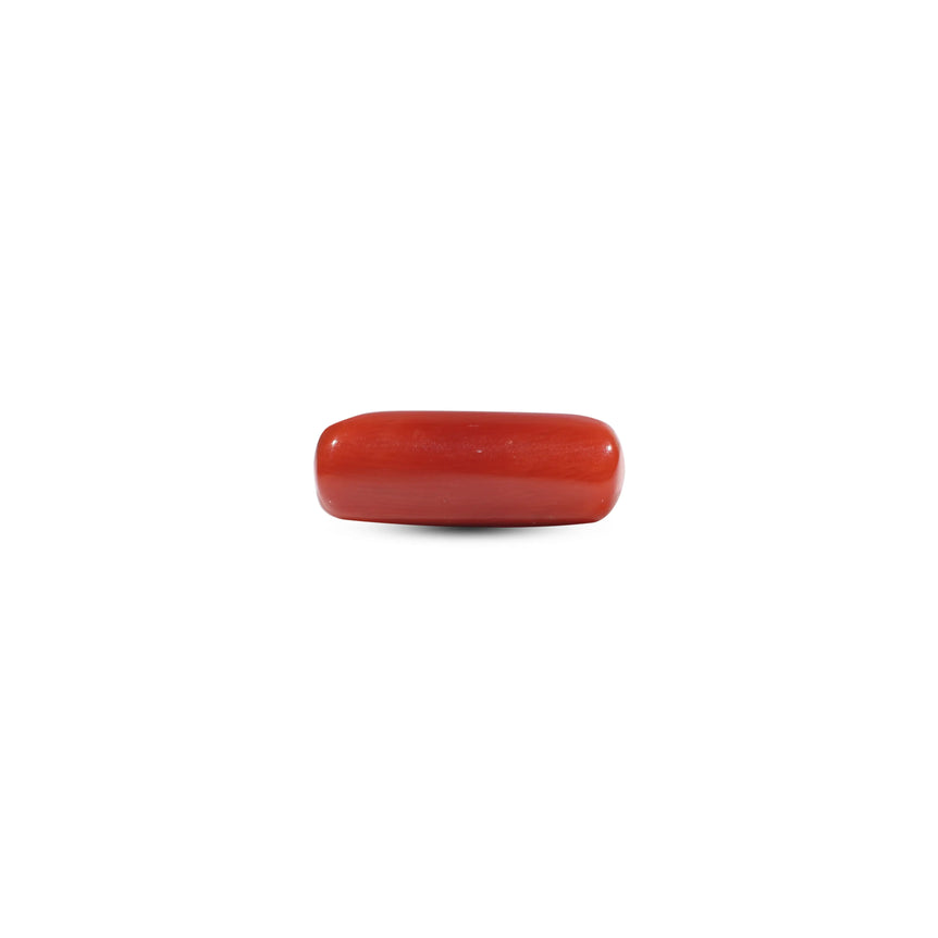 Red Coral - 6.45 Carat