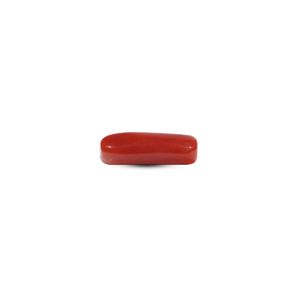 Red Coral - 6.45 Carat