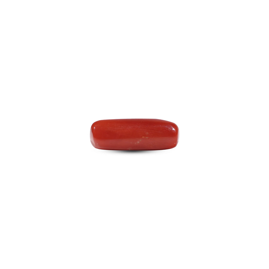 Red Coral - 7 Carat