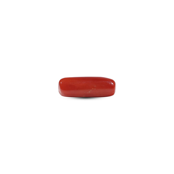 Red Coral - 7 Carat