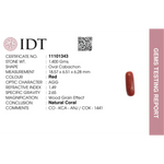 Red Coral - 7 Carat