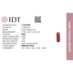 Red Coral - 6.4 Carat