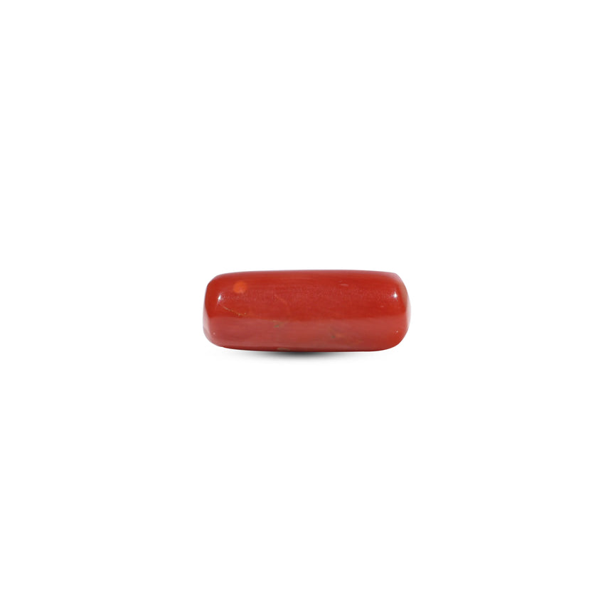 Red Coral - 6.35 Carat - Pramogh