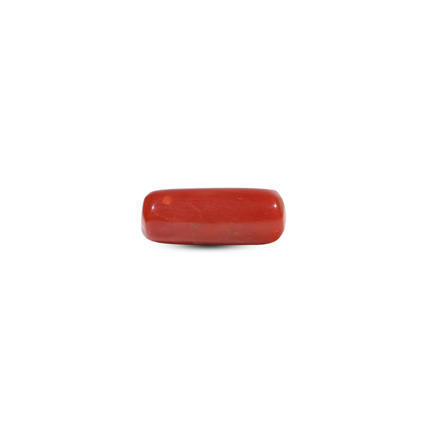 Red Coral - 6.35 Carat - Pramogh