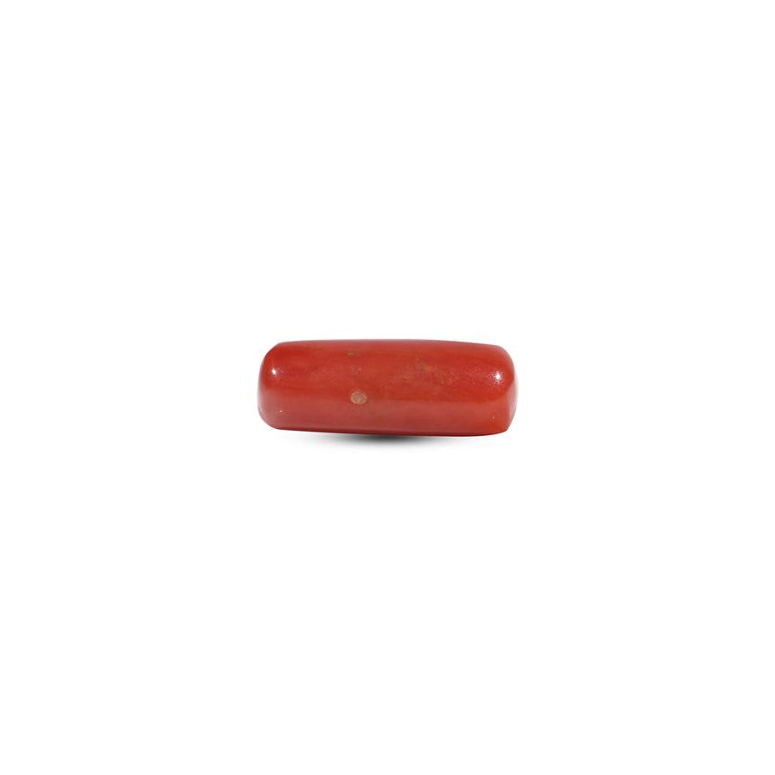 Red Coral - 6.35 Carat