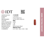Red Coral - 6.35 Carat