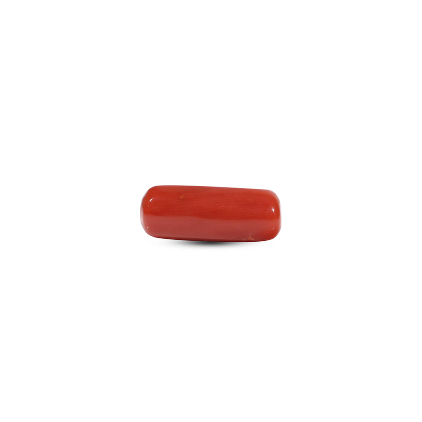 Red Coral - 6.3 Carat - Pramogh
