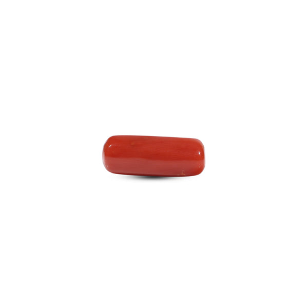 Red Coral - 6.3 Carat - Pramogh