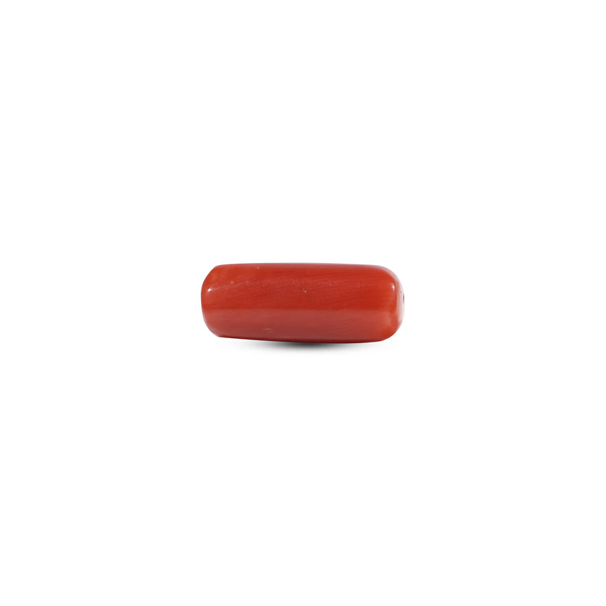 Red Coral - 6.3 Carat