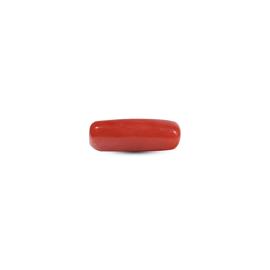 Red Coral - 5.5 Carat - Pramogh