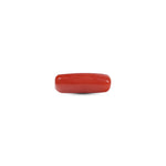 Red Coral - 5.5 Carat - Pramogh