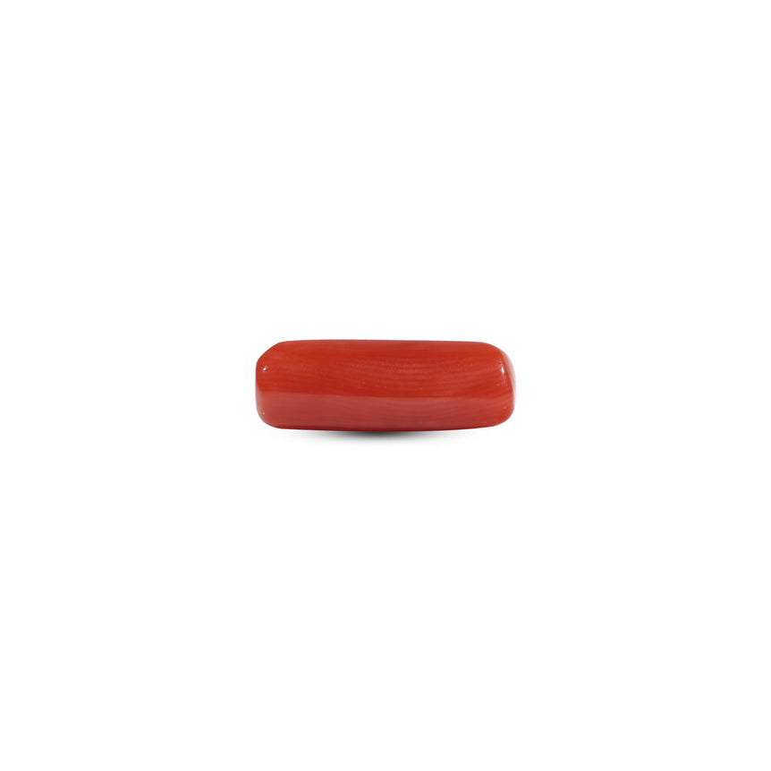 Red Coral - 5.5 Carat