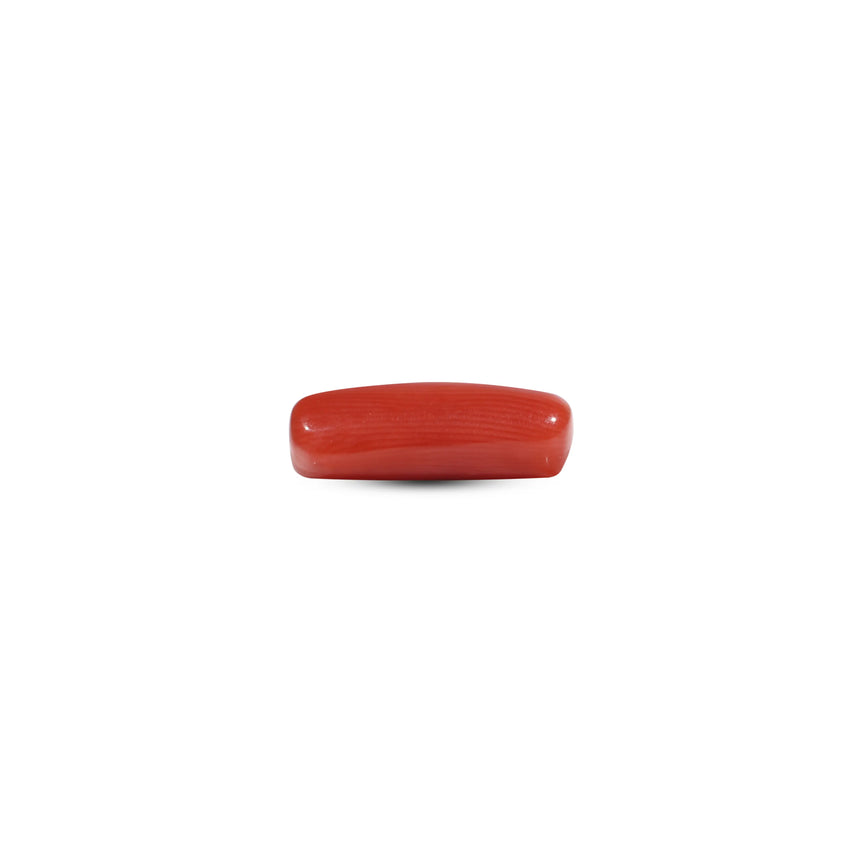 Red Coral - 5.5 Carat