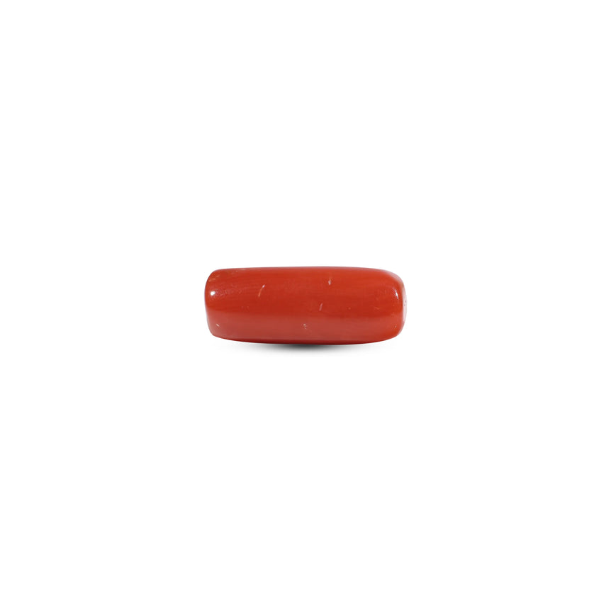 Red Coral - 6.05 Carat