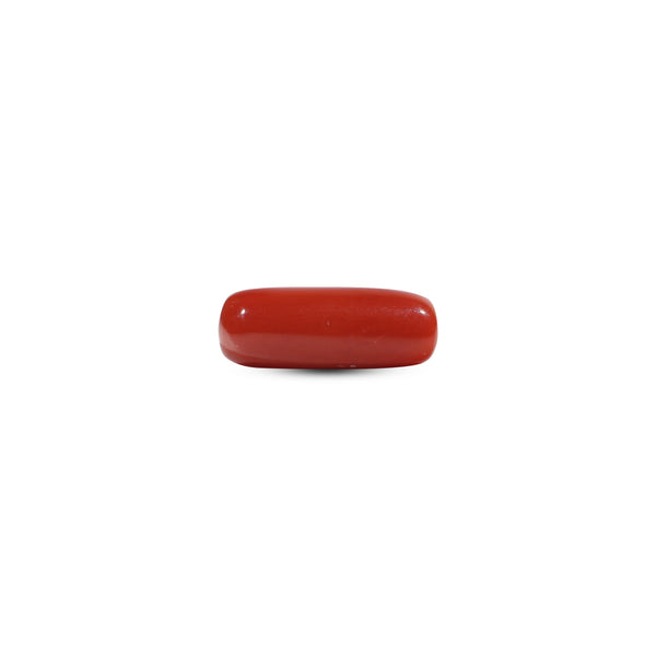 Red Coral - 7.05 Carat - Pramogh