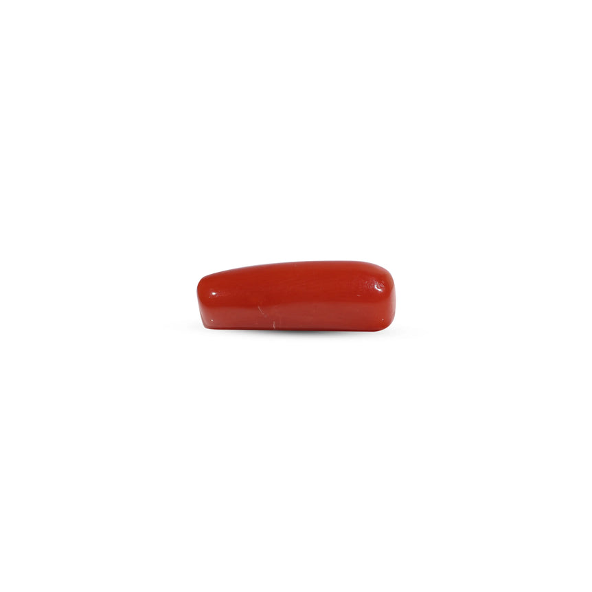 Red Coral - 7.05 Carat