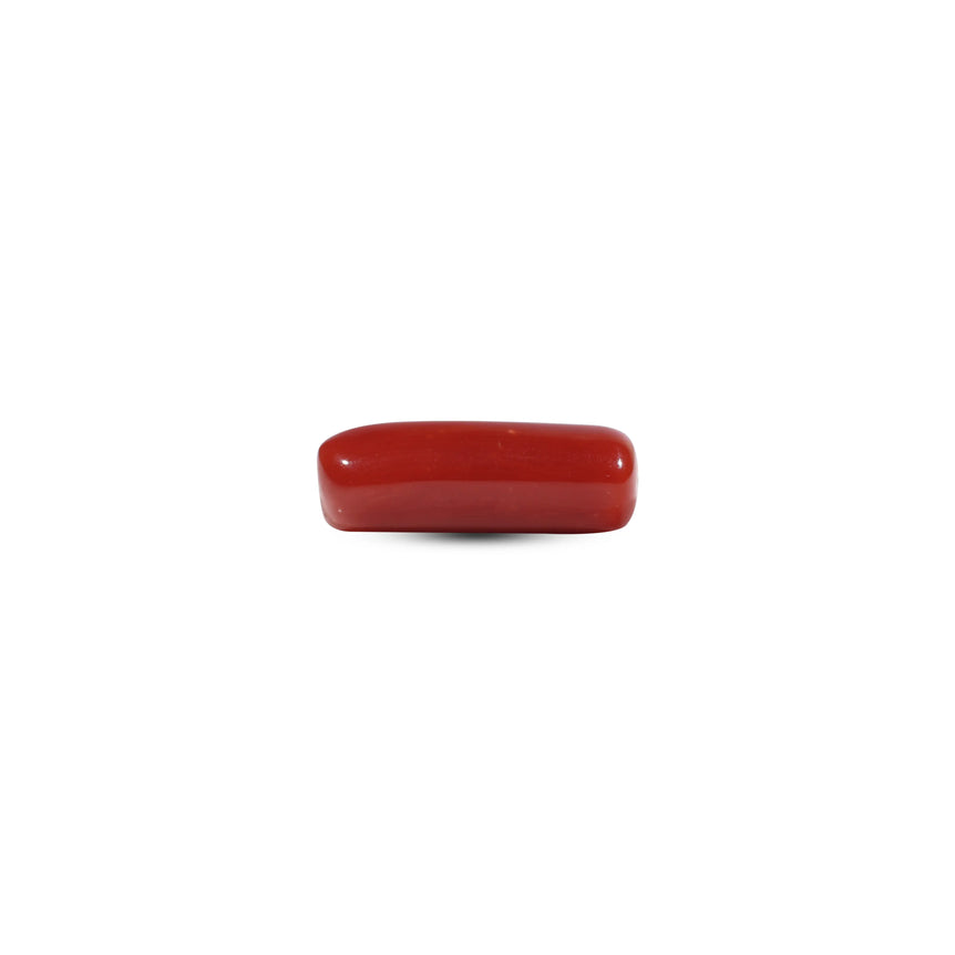 Red Coral - 6.05 Carat - Pramogh