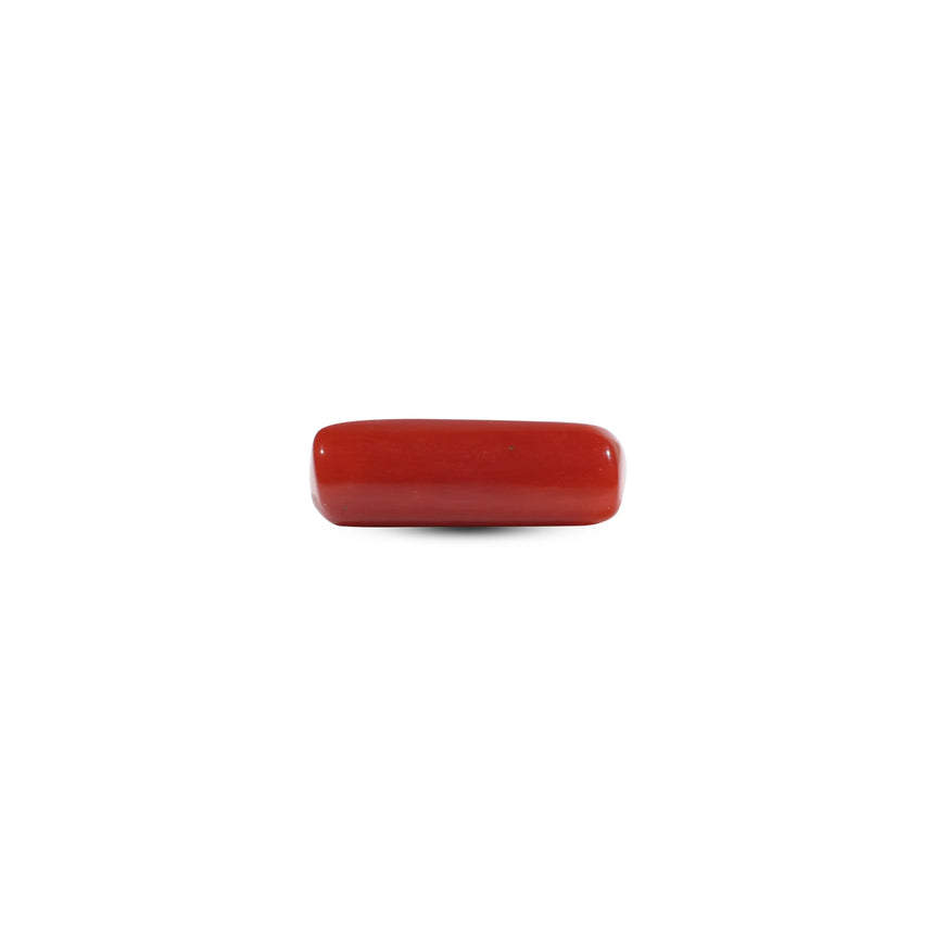 Red Coral - 6.05 Carat
