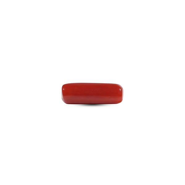 Red Coral - 6.05 Carat