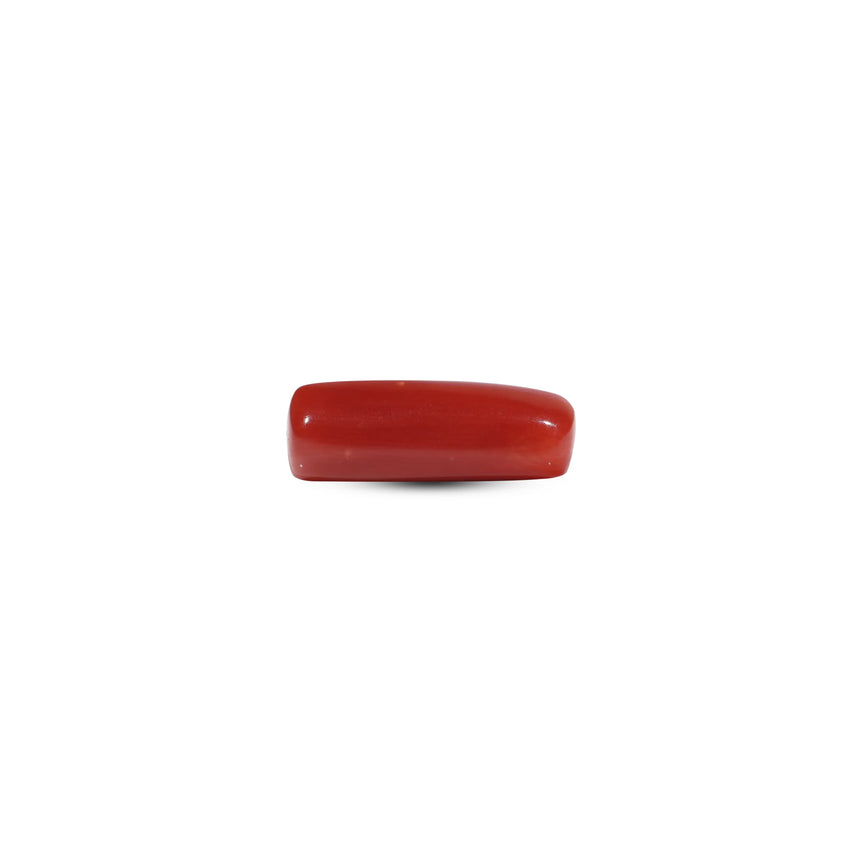 Red Coral - 6.05 Carat