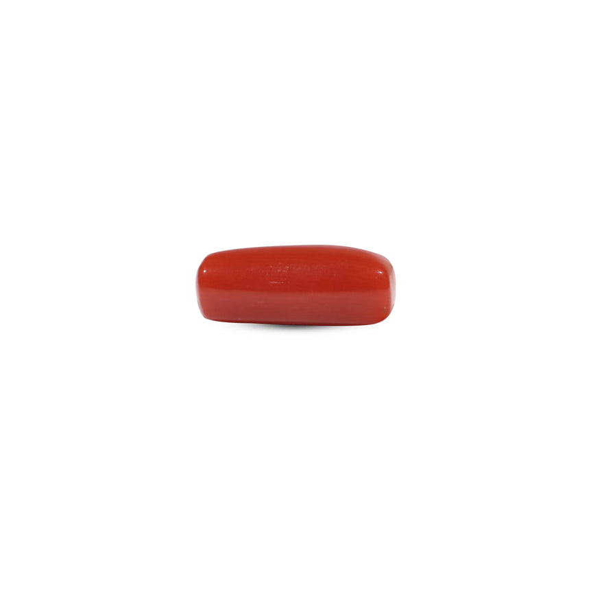 Red Coral - 6.55 Carat