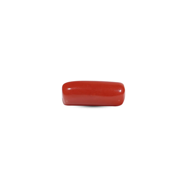 Red Coral - 6.55 Carat