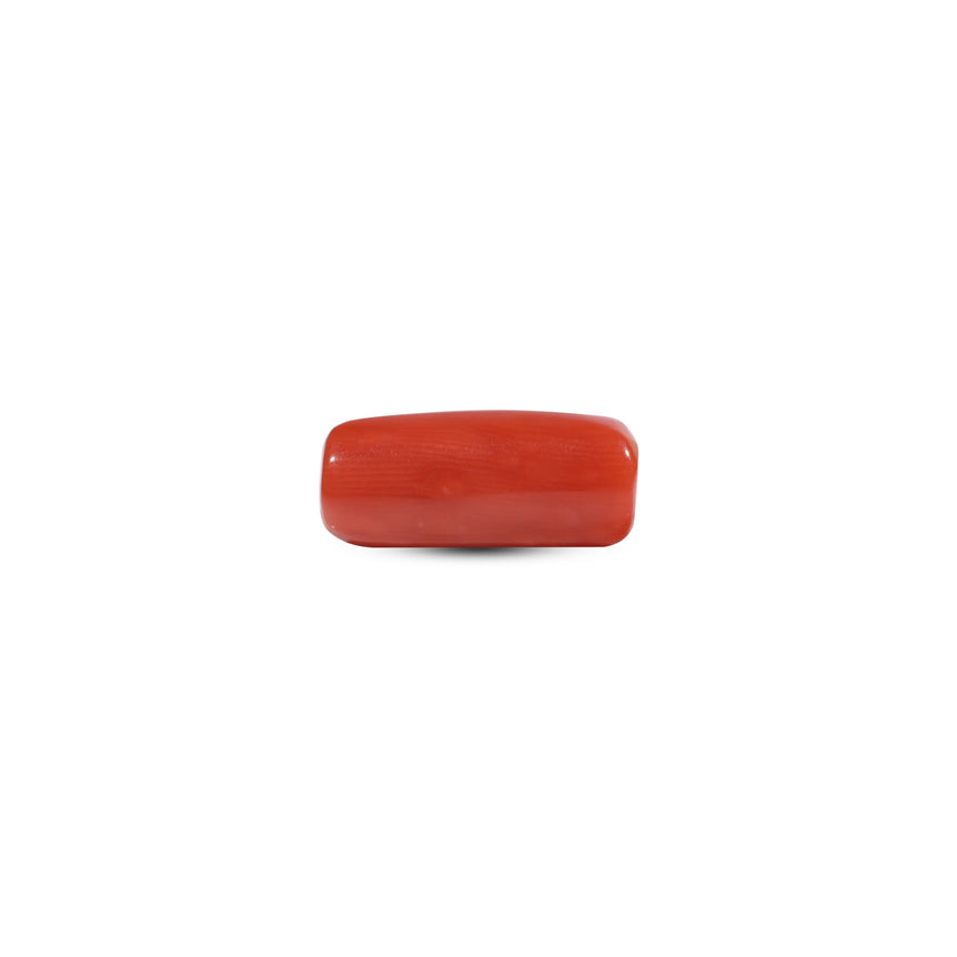 Red Coral - 6.65 Carat
