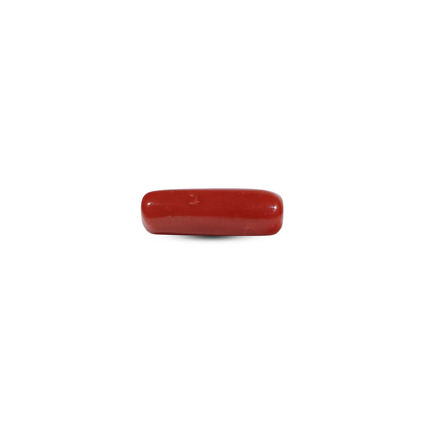Red Coral - 5.5 Carat - Pramogh