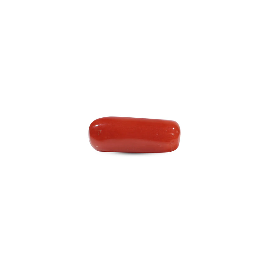 Red Coral - 5.65 Carat - Pramogh