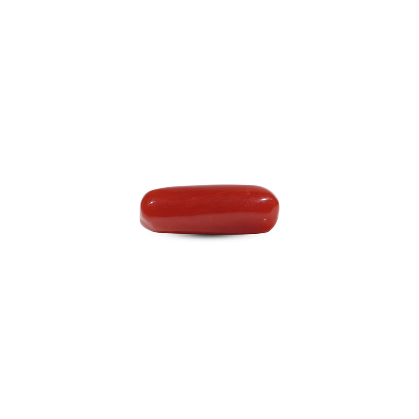 Red Coral - 5.85 Carat - Pramogh