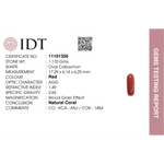 Red Coral - 5.85 Carat