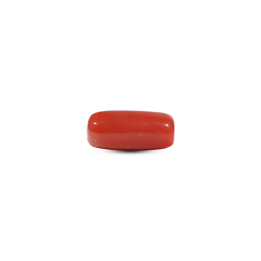 Red Coral - 6.55 Carat - Pramogh