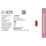 Red Coral - 6.55 Carat