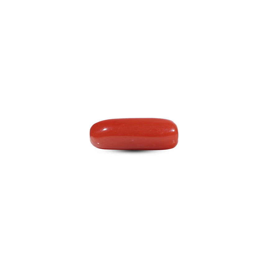 Red Coral - 6.3 Carat - Pramogh