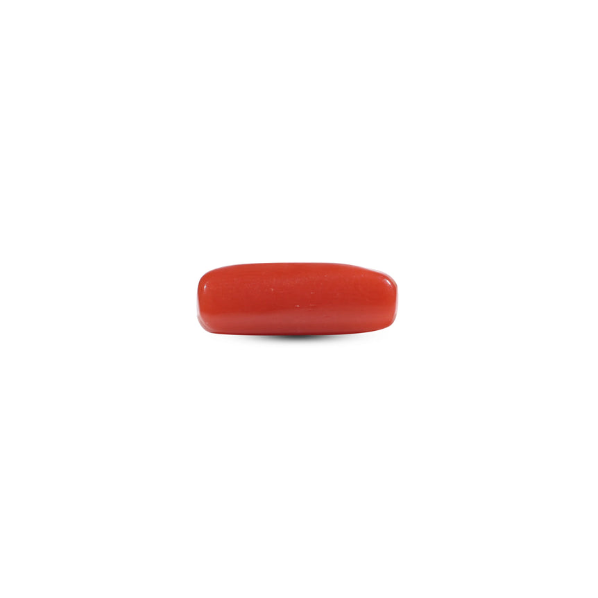Red Coral - 6.3 Carat