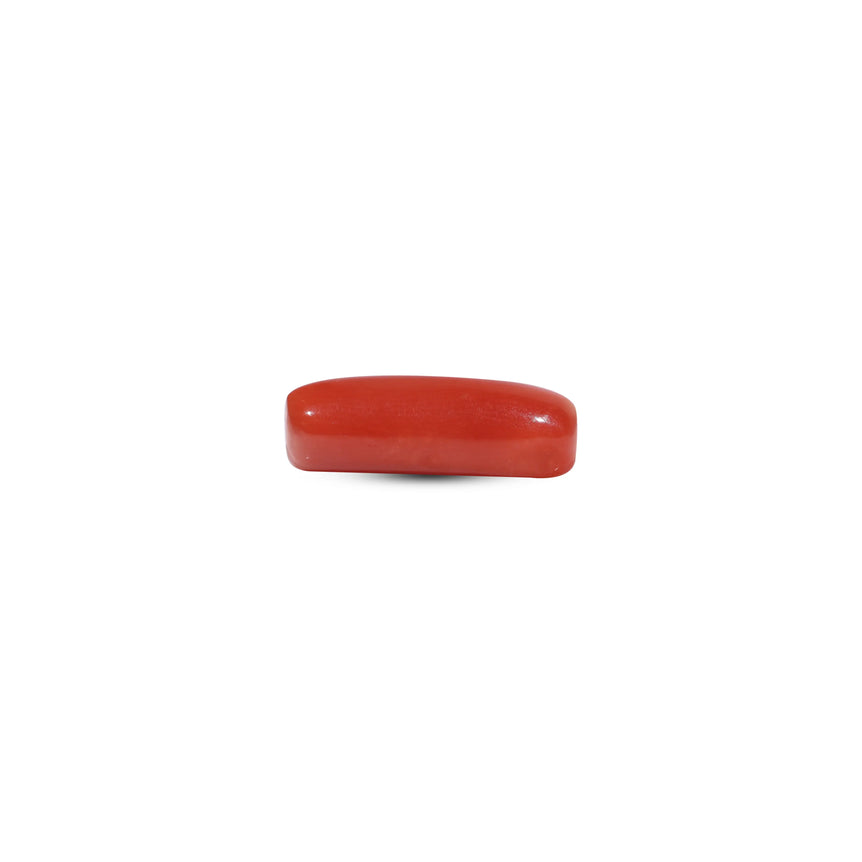 Red Coral - 6.3 Carat