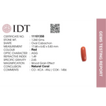 Red Coral - 6.3 Carat