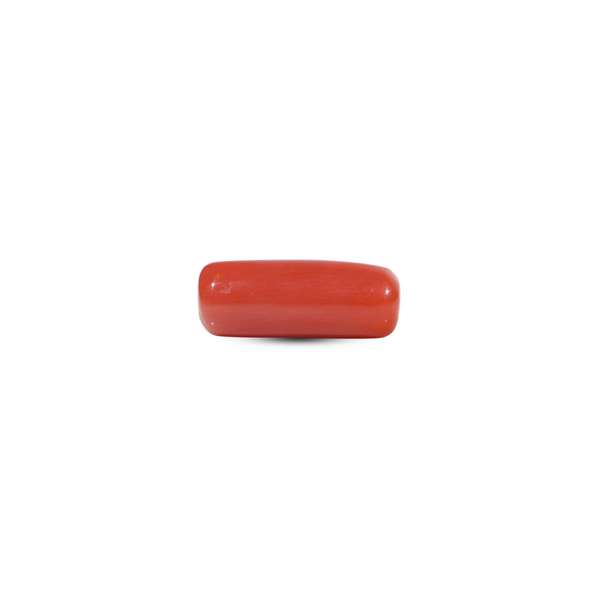 Red Coral - 7.05 Carat - Pramogh