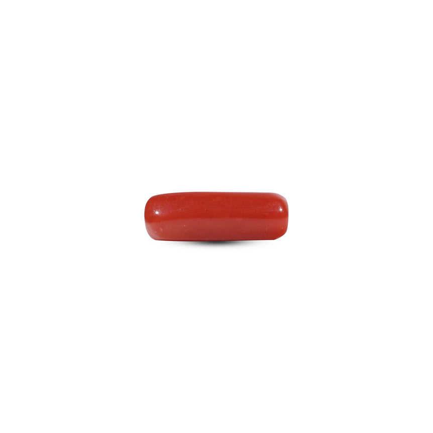 Red Coral - 5.6 Carat - Pramogh