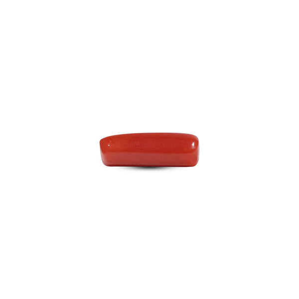 Red Coral - 5.6 Carat